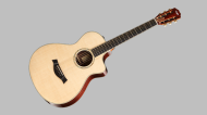 Akoestische gitaar
